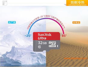 低价批发手机内存卡 外贸与大客户的专业选择